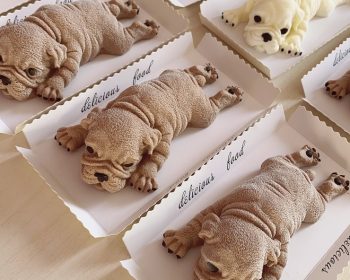 The practice of Shar Pei ? Mousse