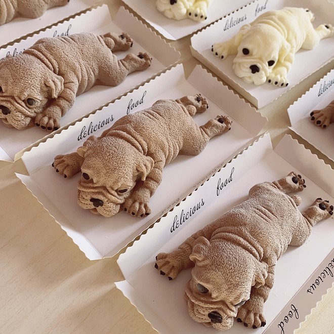 The practice of Shar Pei ? Mousse