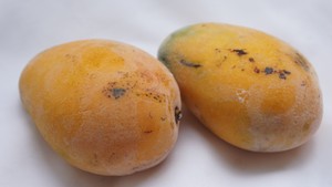 The practice of super delicious frozen mango step 1